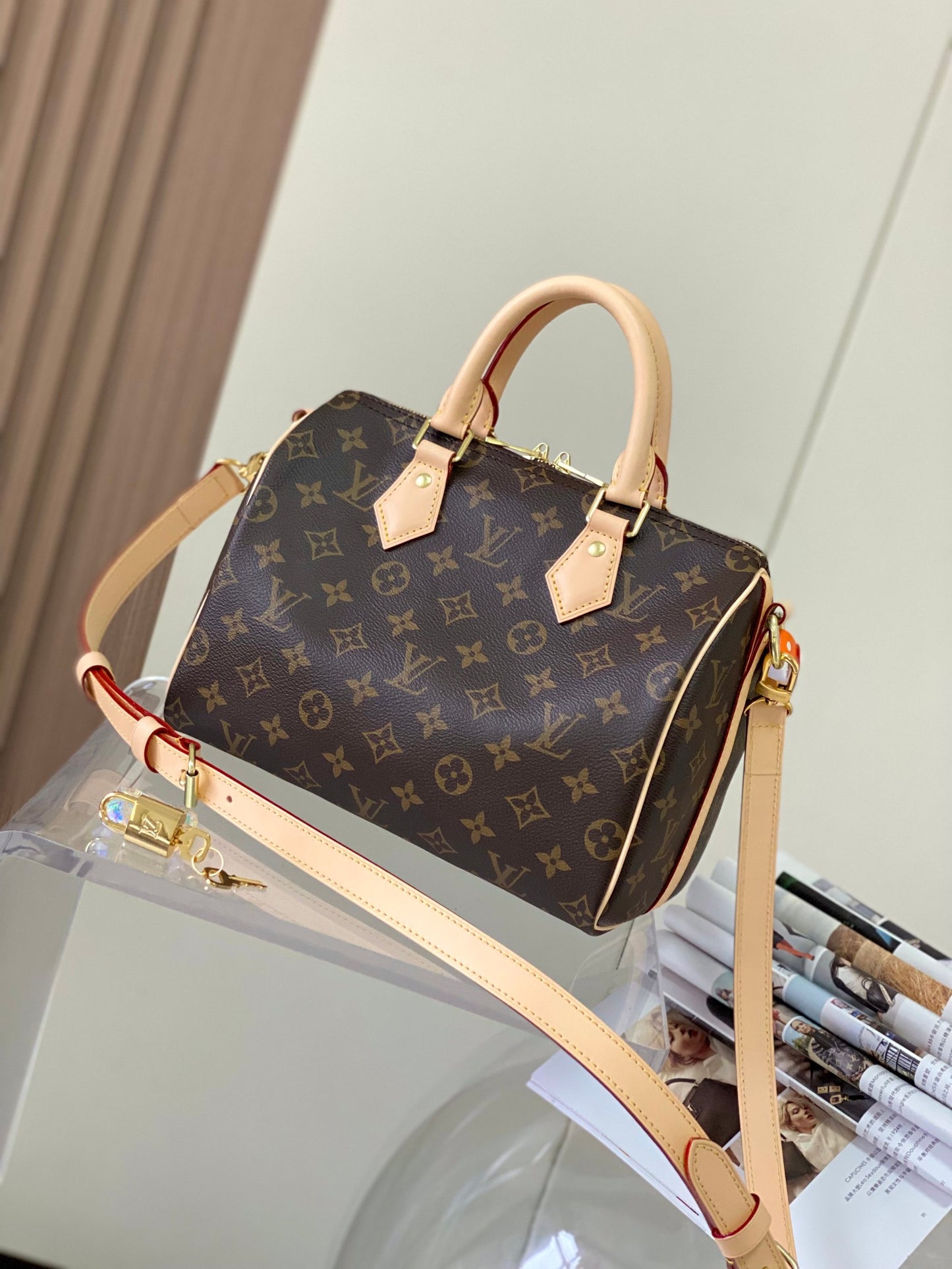 Louis Vuitton Handbag Collection