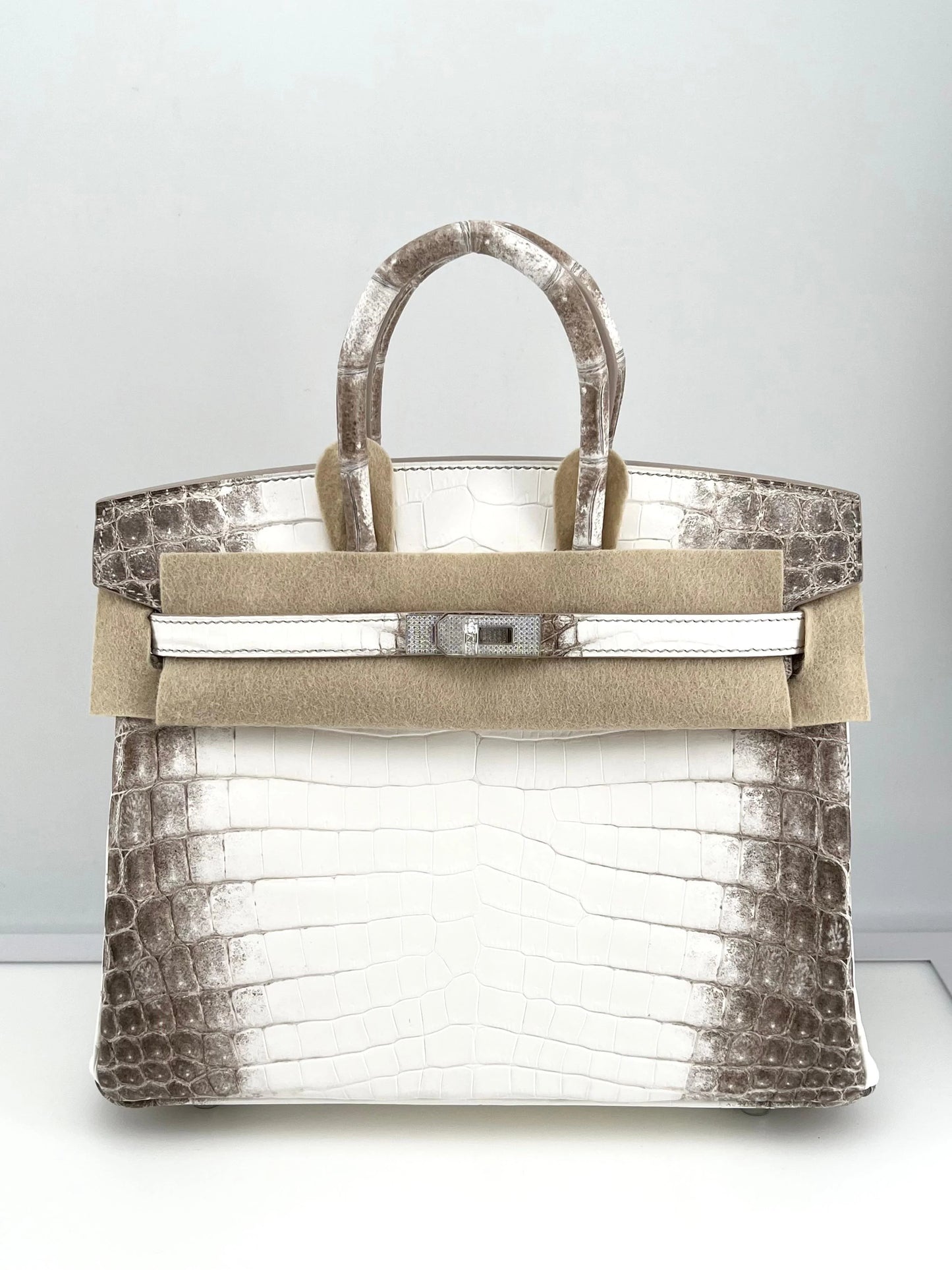 Hermès Himalaya Birkin 25 Niloticus Crocodile Diamond Encrusted Palladium Hardware