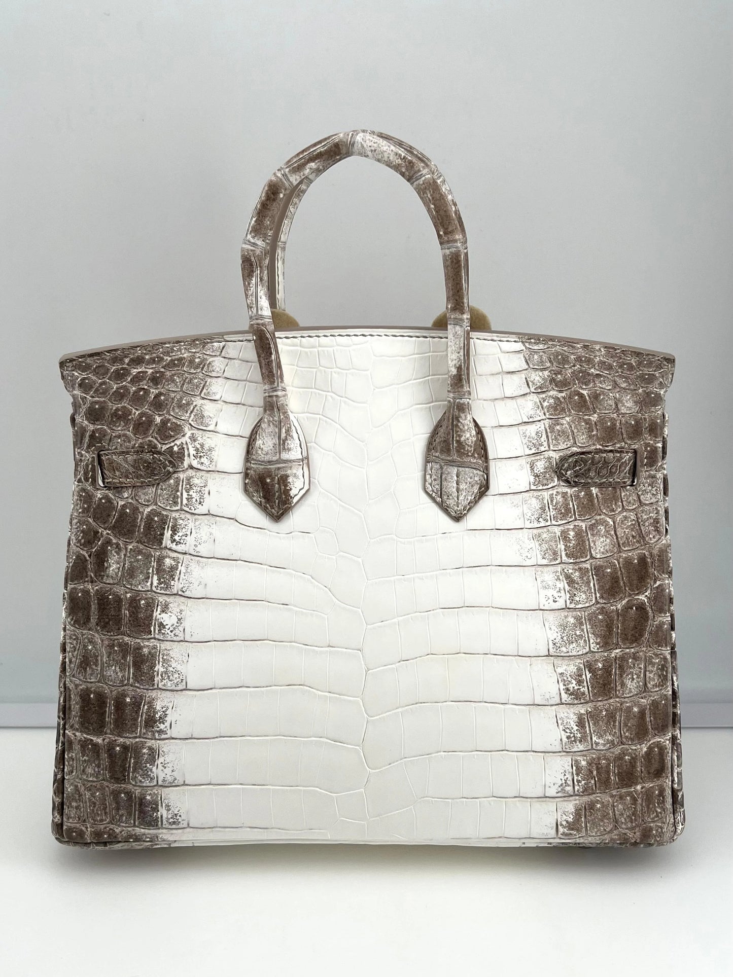 Hermès Himalaya Birkin 25 Niloticus Crocodile Diamond Encrusted Palladium Hardware