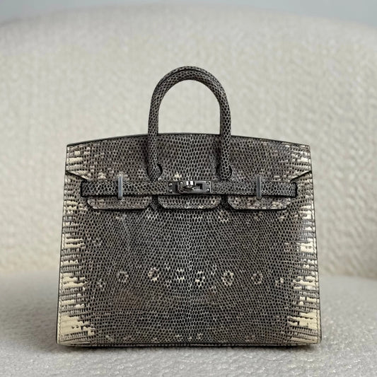 Hermès Ombré Birkin Sellier 20 Varanus Salvator Lizard Palladium Hardware